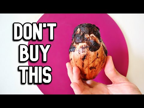 How to Eat Endangered Fruit Without Being a Jerk - Buah Ulur Ulur