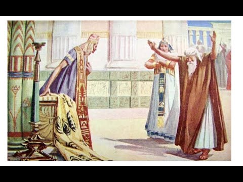 창55/  당신의 나이는 얼마인가요?