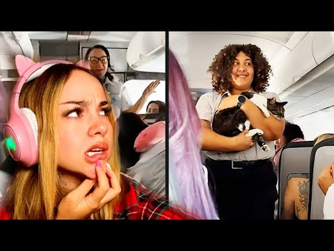 Finnish Girl Reacts to The Daily Dose of Pets - He Snuck Past Security