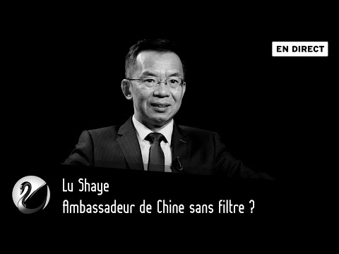 Ambassadeur de Chine sans filtre ? Lu Shaye [EN DIRECT]