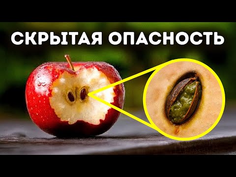 Секреты питания, которые могут спасти вашу жизнь и деньги