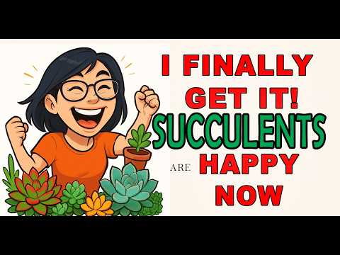 Stop Killing Your Succulents: 11 Mistakes You Don’t Know You Are Making #succulentcare  #succulents