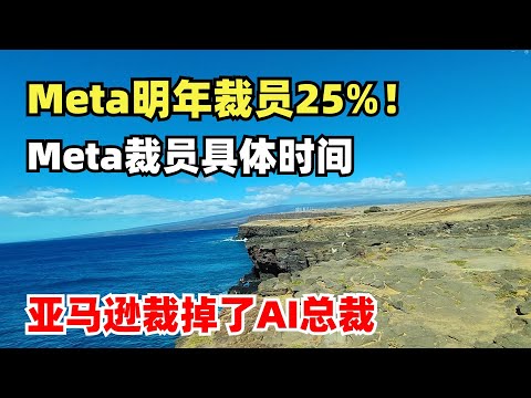 Meta明年裁员25%！裁员具体时间确定。Amazon裁掉了AI总裁