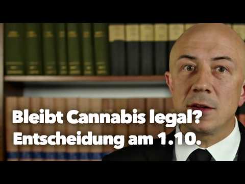 Legalisierung vor dem Aus? Was passiert am 1. Oktober?