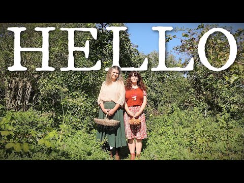 🍂 A Cosy English September l Beginning Our Journey Into Seasonal Living