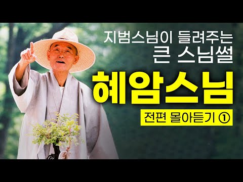 #혜암스님① "산은 산이요 물은 물이로다 "| 어디서도 들을 수 없는 큰스님 썰!📖(출가부터 원적까지 한방에 몰아듣기👂) #장좌불와 #가야산의정진불 #대선사