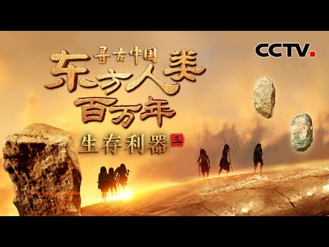 东方古人类如何在蛮荒中求生？约170万年前猛犸象肢解现场展现古人类惊人智慧！《东方人类百万年·生存利器》| CCTV「寻古中国」20250601