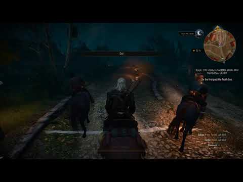 The Witcher 3: Wild Hunt - Race: The Great Erasmus Vegelbud Memorial Derby