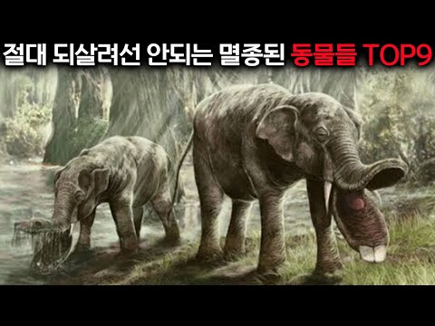 이 동물들이 부활하면 인류는 절대 살아남지 못합니다.