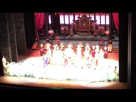 首場《蝶影紅梨記》謝幕 (1)