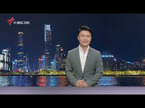 【城事特搜】“黑珍珠”惹烦恼？相处秘诀要记好|做好“荔枝+”文章 带动荔民增收|茂名荔枝大批量上市 吸引全国各地客商前来采购|20250606完整版 #粤语 #news