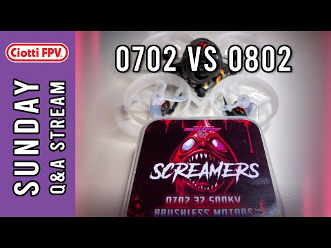Tiny Whoop 0802EX 30,000kv vs WeBleedFPV 0702 32,500kv - Q&A