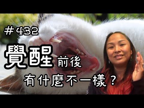 第四百三十二集  覺醒前後