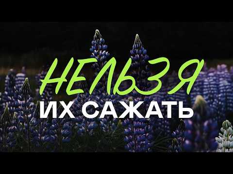 НЕЛЬЗЯ сажать эти растения на участке! (они быстро захватят ваш сад)