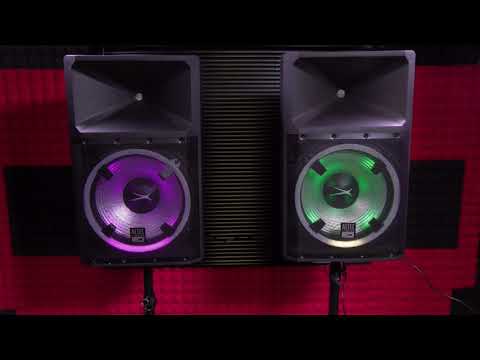 The Loudest Under $300 Party Speakers Ever!