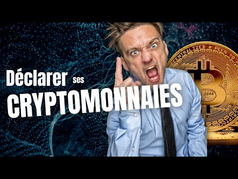 CRYPTOS: 2025 TAX RETURN TUTORIAL - 4 TESTS TO PAY LESS VIA FLAT TAX.