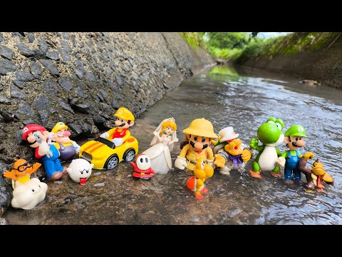 Super Mario bros: Princess peach|Mario|Luigi|Yoshi|Toad|Koopa troopa|goomba mario|Bowser|donkey kong