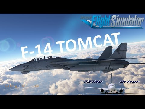 Let's Turn And Burn: Heatblur/IFE F14 TOMCAT - First Ride (And yes, I killed my ENGINES in FLIGHT)
