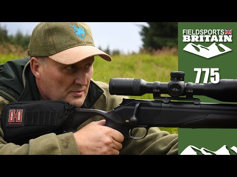 Fieldsports Britain – the magic of sika