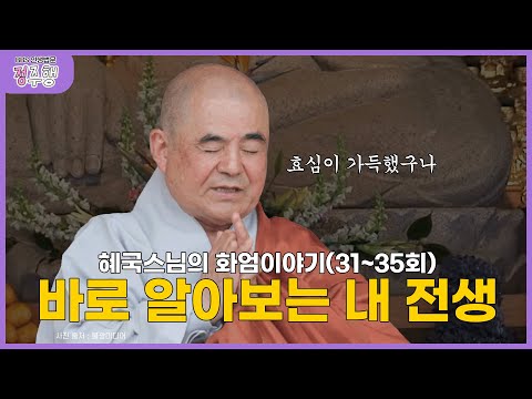 [#정주행] 주변을 돌아보면 '내 전생'이 보인다｜혜국스님의 인생법문 몰아보기(31~35회) #혜국스님