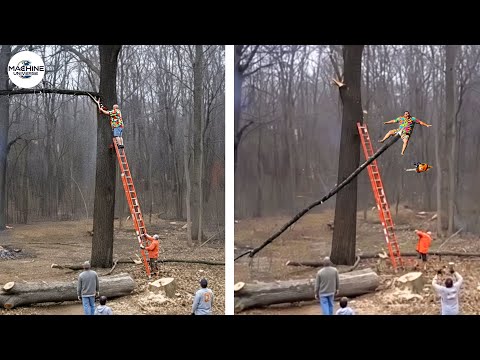Idiots With Chainsaws: Tree Cutting Fails | Extreme Dangerous Logging Truck Fails #11