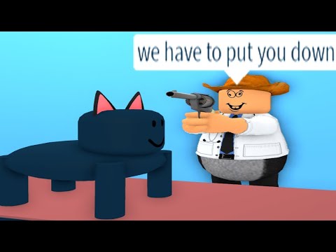 3 Hours Of A Great Flamingo Admin Compilation