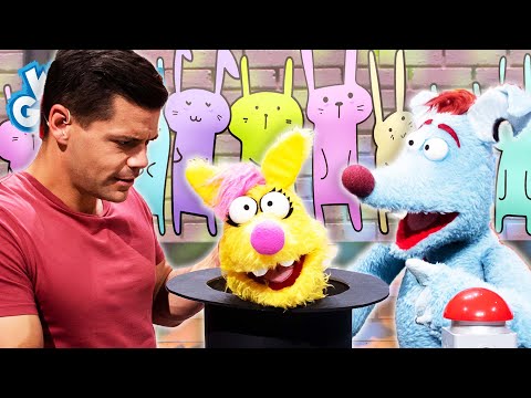 Was ist der Unterschied zwischen Hasen und Kaninchen? l WOOZLE GOOZLE