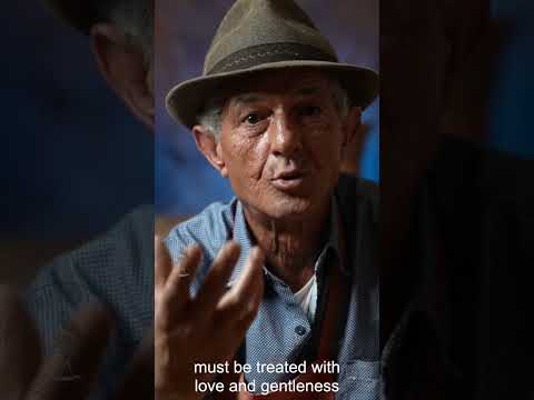 Master Pottery Maker Shares His Thoughts #morocco