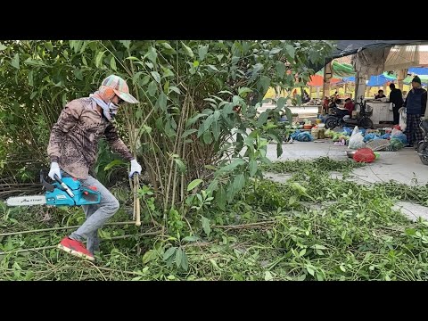 The market was full of rubbish and overgrown grass that thousands of people ignored me to clean up.