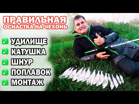 Правильная оснастка для ловли чехони. Ловля чехони на дальний заброс.