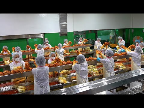 Kimjang Season in Korea: Inside a Factory That Mass-Produces Kimchi with 100% Korean Ingredients