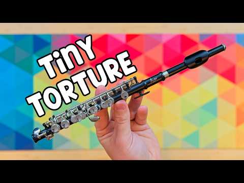 I Bought the Cheapest Piccolo... It Hurts