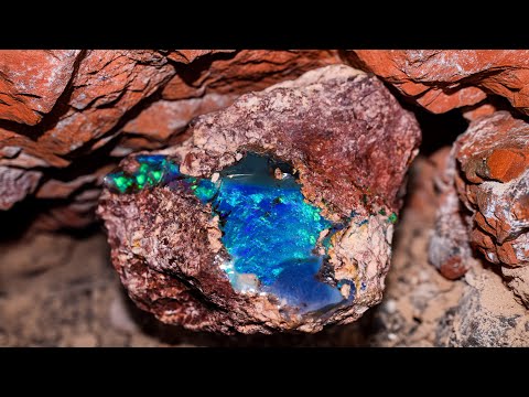 Letting My Son Buy Risky Black Opal - Will It Pay Off?