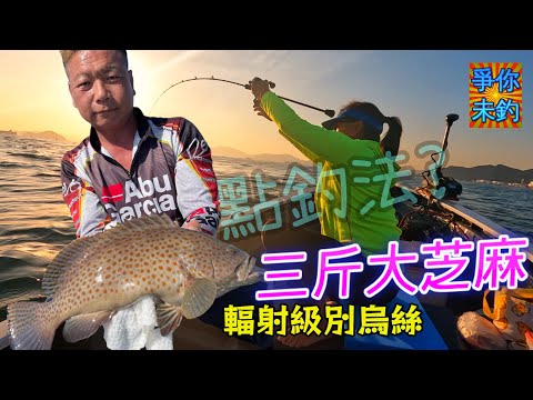【爭你未釣】💥芝麻斑食蝦肉⁉️｜🐟用雞魚做餌⁉️｜熱血船長👨🏽‍✈️｜香港釣魚 #Fishing #Saltwaterfishing