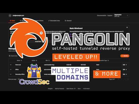 Pangolin Just Leveled Up: CrowdSec & Multi-Domain Support