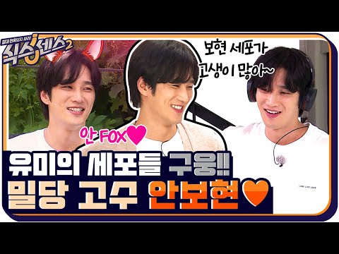 [#하이라이트#] 식센이들 밀당하는 밀당의 고수♥ 유미의 세포들 "구웅" 안보현!! #식스센스2 EP.14