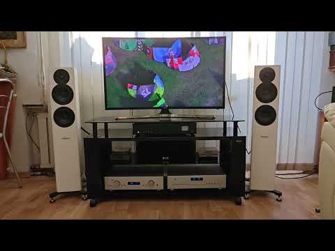 Тест сетапа: ( акустика Dynaudio Evoke 30 + усилитель AVM Evolution A2 + AVM CD3 )