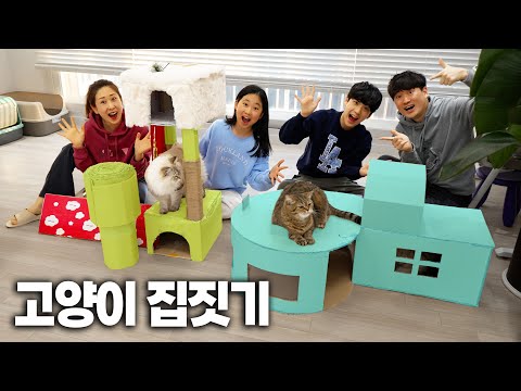 고양이 집 만들기 대결 !! 모던하우스 VS 놀이터집... 어떤 집을 더 좋아할까?