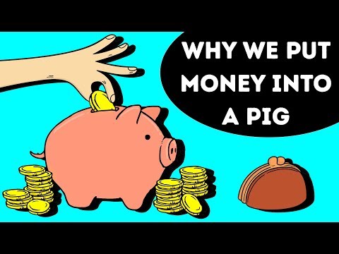That's Why Piggy Banks Are Pigs
