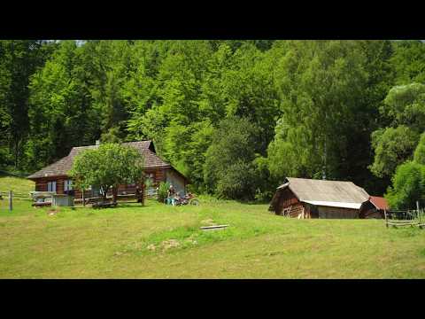 Beyond Civilization. A Day with a Self-Sufficient Family in the Remote Wilderness