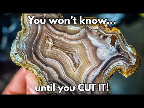 Amazing Agate Reveals From Around the World!