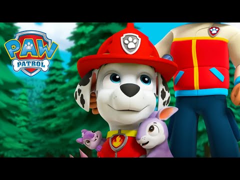 Everyone LOVES Marshall! ❤️ - PAW Patrol - Cartoons for Kids