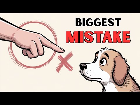 6 Common Mistakes NEW Dog Owners Make | This Is Hurting Your Dog