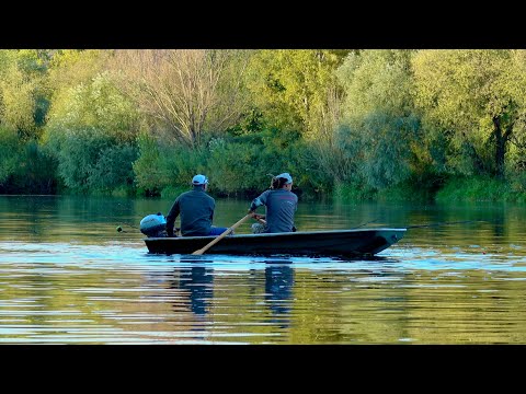 Наглий КВОК | Бішений кльов на виповзка. Нічна рибалка на сома та фідер з берега