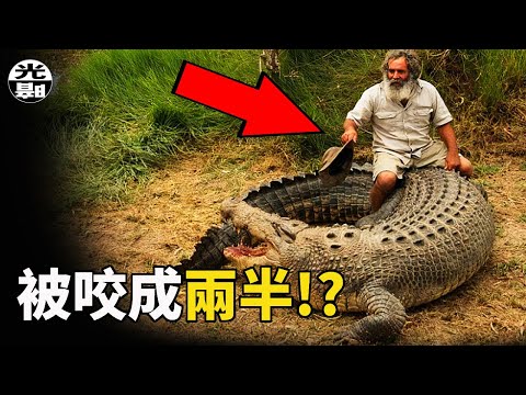 身體被咬成兩半!? 真實的恐怖巨獸殺人事件合集--懸案 刑事 調查 奇聞 檔案 迷案解讀 盡在光暗雜學