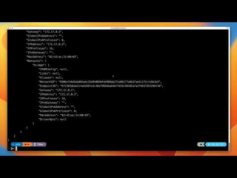 Free Docker Fundamentals Course - [DEMO] Using Environment Variables