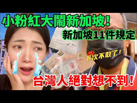 陸妻：新加坡11項規定  台灣人絕對想不到！Foreigners must know Singapore’s 11 regulations! No nudity  【CC繁中】SN:2024045
