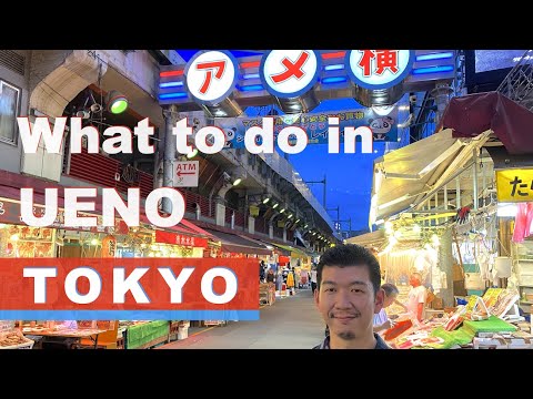 A Must See Area in Tokyo for Sight Seeing ♢ What's in Ueno, Tokyo