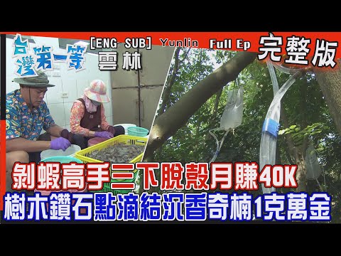[全新] Yunlin【高手剝蝦"三下"清潔溜溜 月賺40K！/ 植物界鑽石！"奇楠沉香"一克價值"數萬" / 太魯閣"馬蓋先" 竹製時尚單車】│2022.11.13│《台灣第一等》完整版