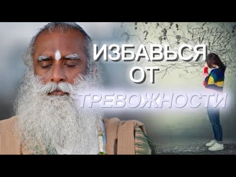 Вас беспокоит что-то!? У Вас Тревога или Страх? Садхгуру на русском❗️Сильнейшая Мотивация 🙏🏻💯